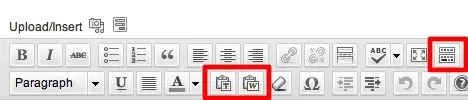 WordPress Toolbar - Kitchen Sink, Paste From Word, Paste as Plain Text