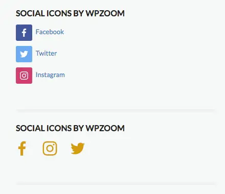 Social_Icons_by_WPZOOM_designs